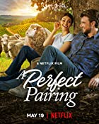 A Perfect Pairing 2022 Hindi Dubbed 480p 720p FilmyZilla
